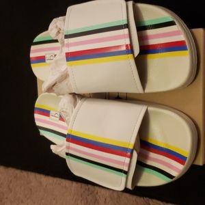 ED PARADIA BY Ellen Slides